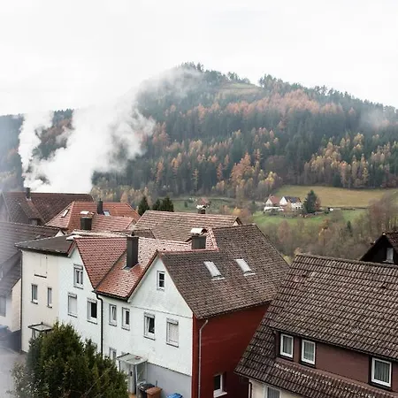 Haus Irene Gemuetlich Moderner Schwarzwald Lejlighed Baiersbronn Eksteriør billede