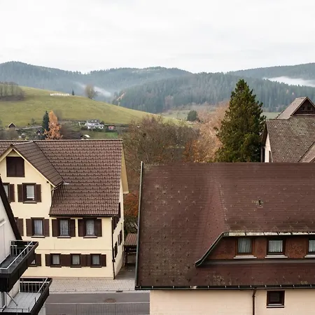 Haus Irene Gemuetlich Moderner Schwarzwald Lejlighed Baiersbronn Eksteriør billede