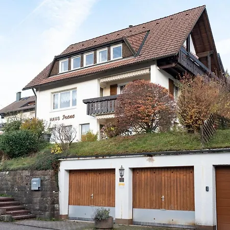Haus Irene Gemuetlich Moderner Schwarzwald Lejlighed Baiersbronn Eksteriør billede