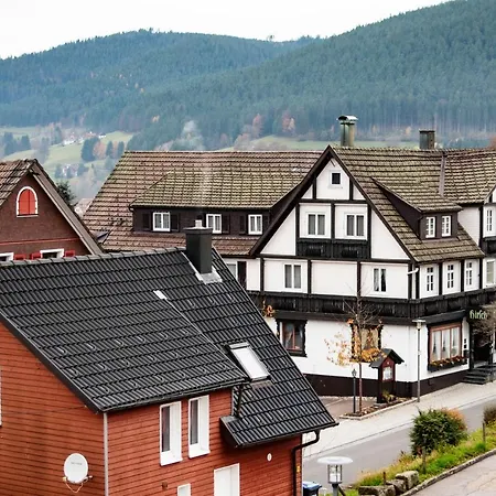 Haus Irene Gemuetlich Moderner Schwarzwald Lejlighed Baiersbronn Eksteriør billede