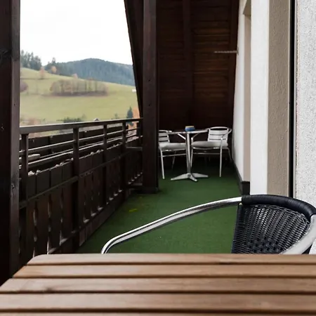 Haus Irene Gemuetlich Moderner Schwarzwald Lejlighed Baiersbronn Eksteriør billede