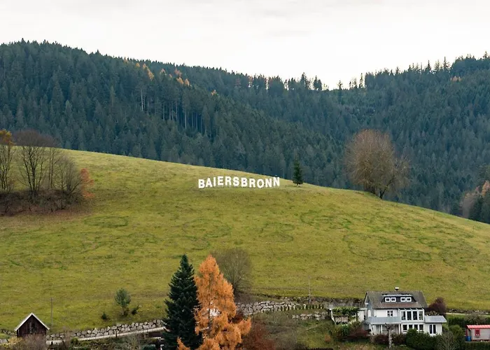 Haus Irene Gemuetlich Moderner Schwarzwald