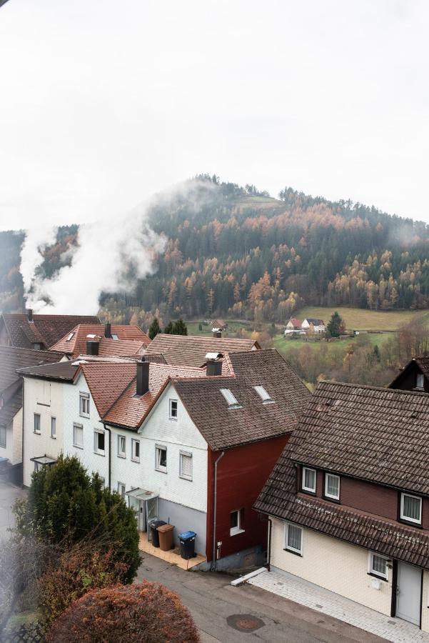Haus Irene Gemuetlich Moderner Schwarzwald Baiersbronn